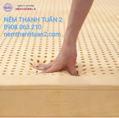 NỆM CAO SU THIÊN NHIÊN 100% ĐÔNG Á