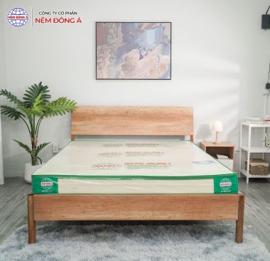 NỆM CAO SU THAN HOẠT TÍNH ĐÔNG Á