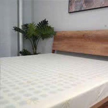 NỆM CAO SU ĐÔNG Á GOLD FOAM