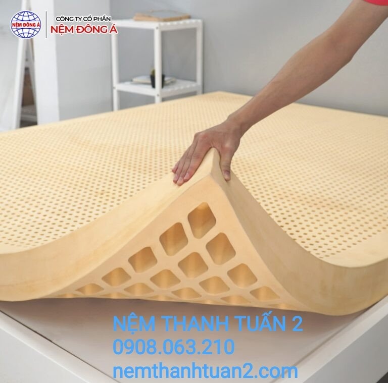 NỆM CAO SU THIÊN NHIÊN 100% ĐÔNG Á