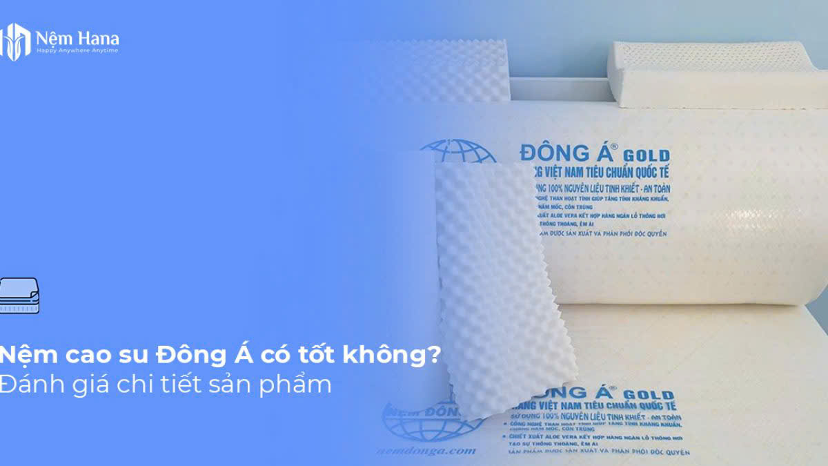 NỆM CAO SU ĐÔNG Á GOLD FOAM